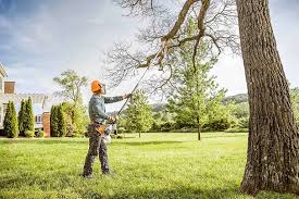 Best Lawn Mowing  in Castleton On Hudson, NY